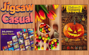 Jigsaw Casual Puzzle Game Online